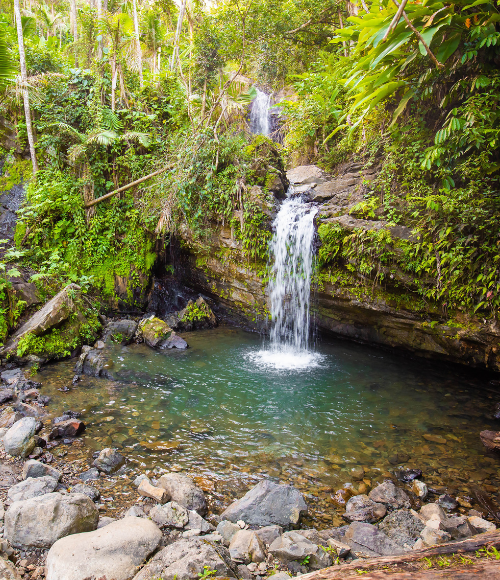El Yunque National Forest
