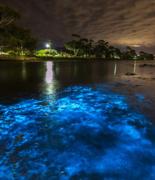Mosquito Bay