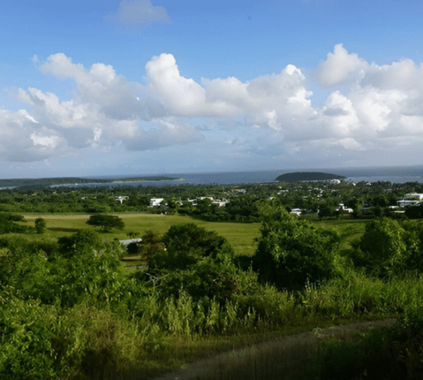 Vieques Island